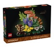 Botanicals Woodland Mushrooms set with colorful mushrooms and woodland plants