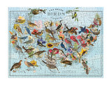 1000pc USA State Birds Puzzle featuring colorful illustrated birds across a United States map
