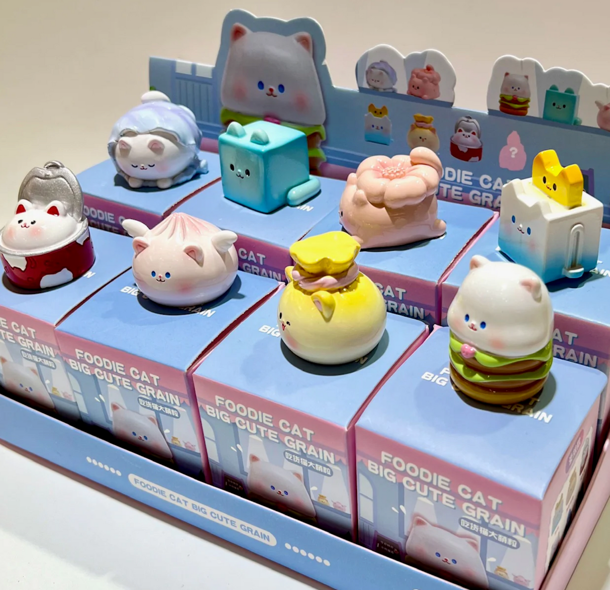 Foodie Cat Blind Box