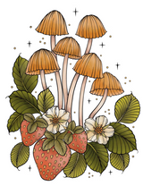 Art of Mushrooms Coloring Book