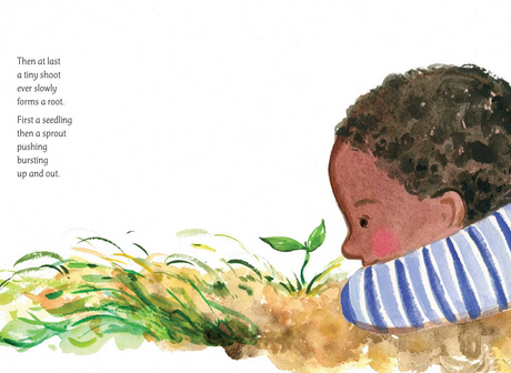 In a Garden shows a child watching a tiny shoot grow from seed to sprout in a colorful garden scene.