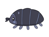 Pillbug Mini