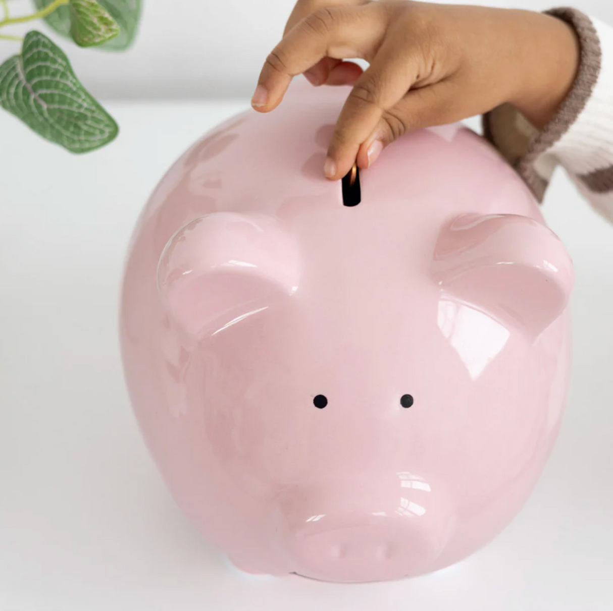 Ceramic Piggy Bank | Pink