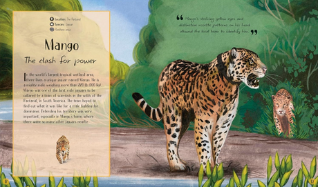 Life in the Wild shows a jaguar named Mango in the Pantanal, revealing the power of animal journeys.