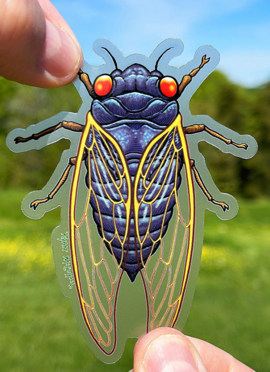 Cicada Sticker