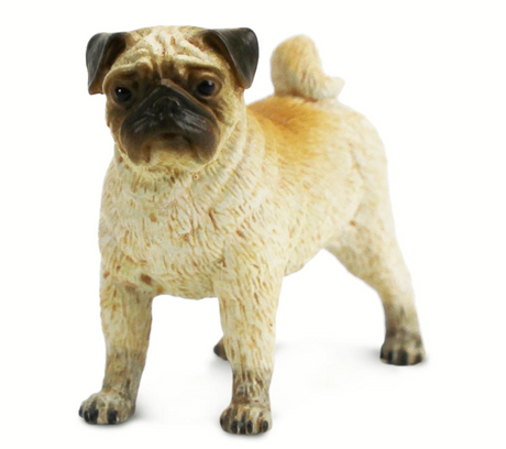 Pug figurine with cream body, brown face and ears, wrinkled features, curled tail, and compact form.