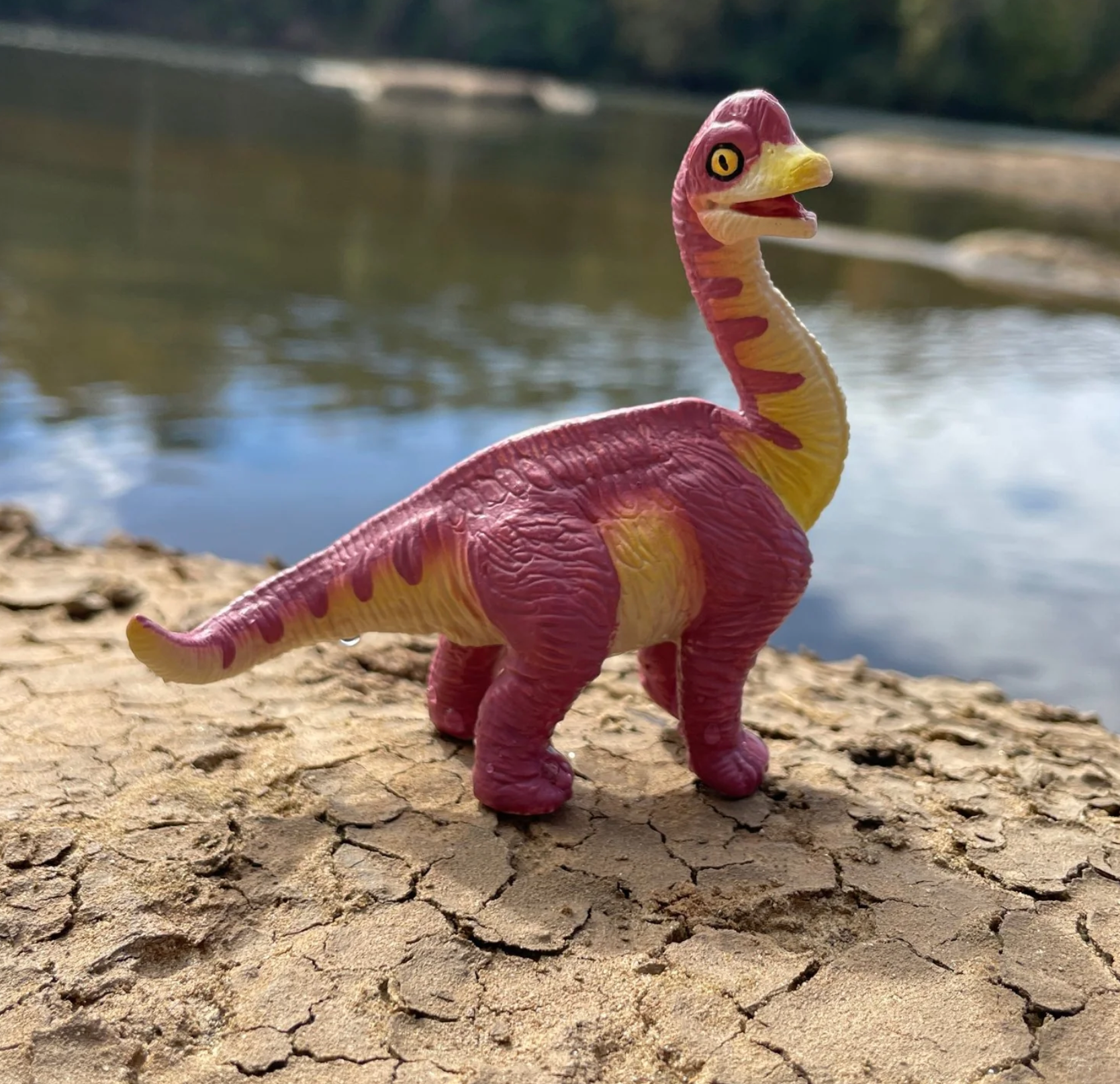 Safari Ltd. 106788 - Brachiosaurus Baby - , 5,99