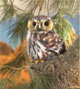 Pygmy Owl Puppet