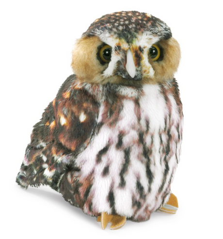 Pygmy Owl Puppet with lifelike printed plush, realistic piercing eyes, and detailed owl features, perfect for ages 3 and up.
