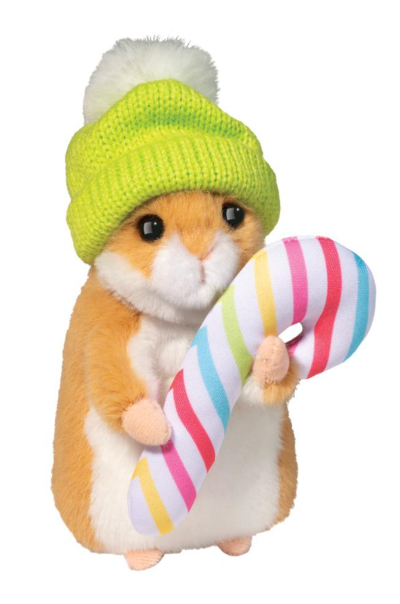 Hamster in Winter Hat