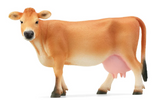 Jersey Cow with a yellowish coat and black muzzle, small size, and friendly appearance, age 3+ for farm lovers.