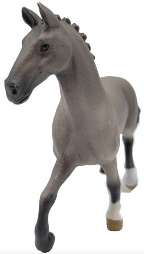 Horse Cheval de Selle Francais Stallion with braided mane in an elegant trot ready for show jumping.