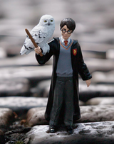 HP Harry & Hedwig