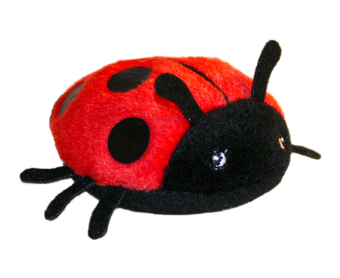 Ladybug FIP