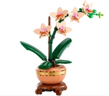 Bontanicals Mini Orchid