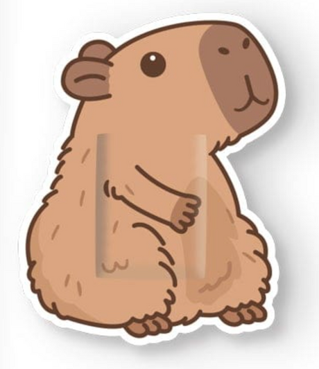 Cute cartoon-style capybara illustration on a protective Capybara Bandages packaging design.