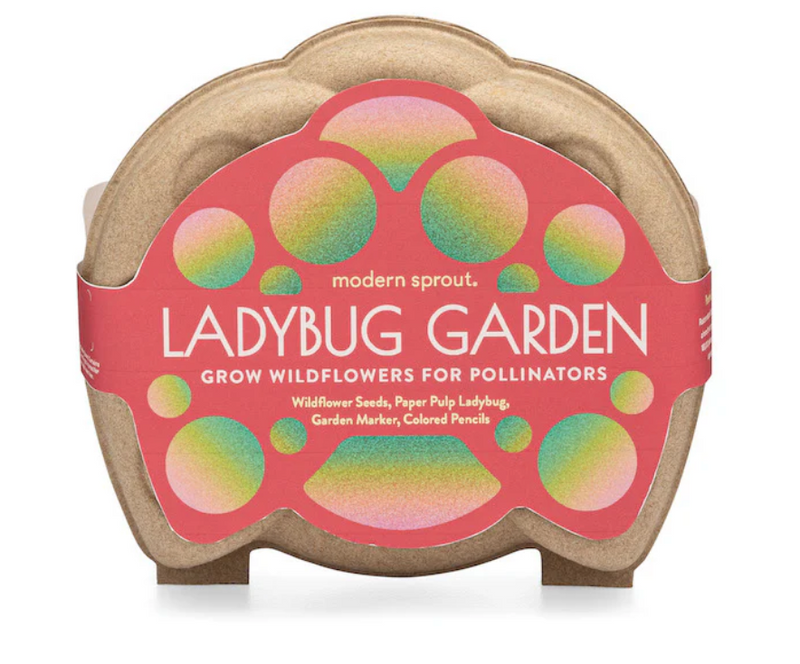 Curious Critters Ladybug Activity Kit with wildflower seeds, paper pulp ladybug, wooden marker, and colored pencils.