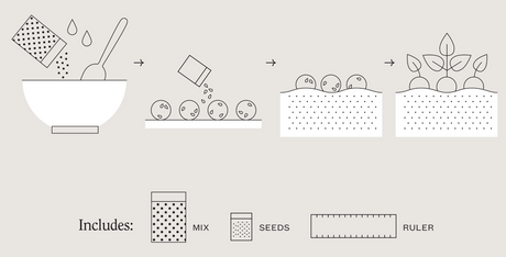 DIY Seedball Kit | Wildflower Garden showing step-by-step seedball mixing, rolling, and planting process with included materials.