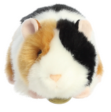 Guinea Pig