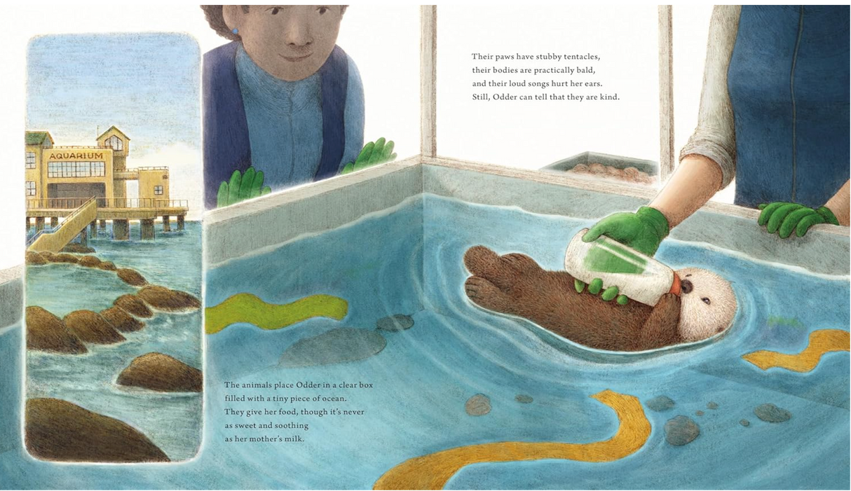 Odder - An Otter's Story