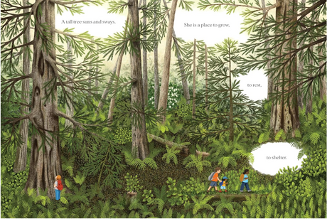 Illustration from When a Tree Falls showing children exploring a sunlit forest full of tall trees and lush greenery.