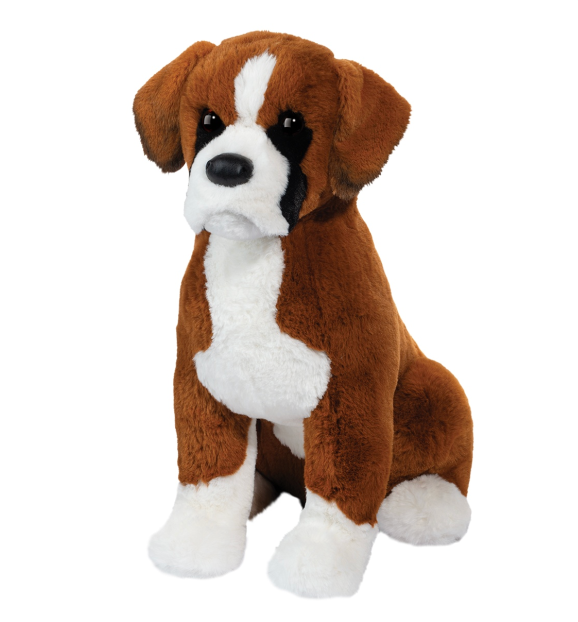 Boxer Chance