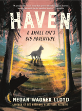 Cover of Haven: A Small Cat’s Big Adventure showing a cat standing in a sunlit forest clearing.