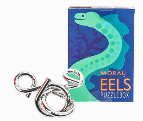 Silver metal sea creature puzzle with a moray eel themed box in blue and green colors