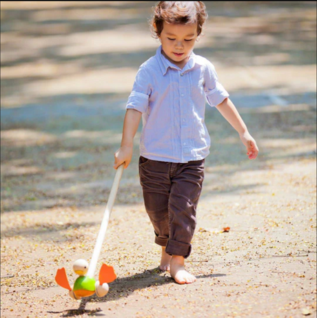 Young child barefoot walking outdoors pushing a wooden duck toy with natural rubber feet that flip-flop