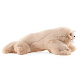 Soft plush harp seal pup puppet with movable mouth and flippers, perfect for cuddling and play, 19 inches long