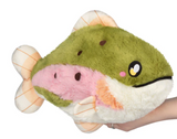 Rainbow Trout Mini