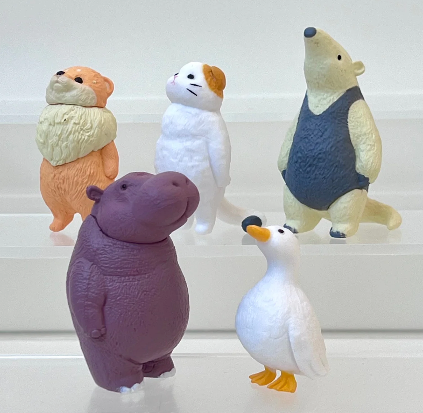 Sky Void Animal Blind Box – Treehouse Toys