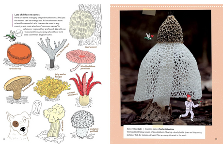 Mushrooms and Company