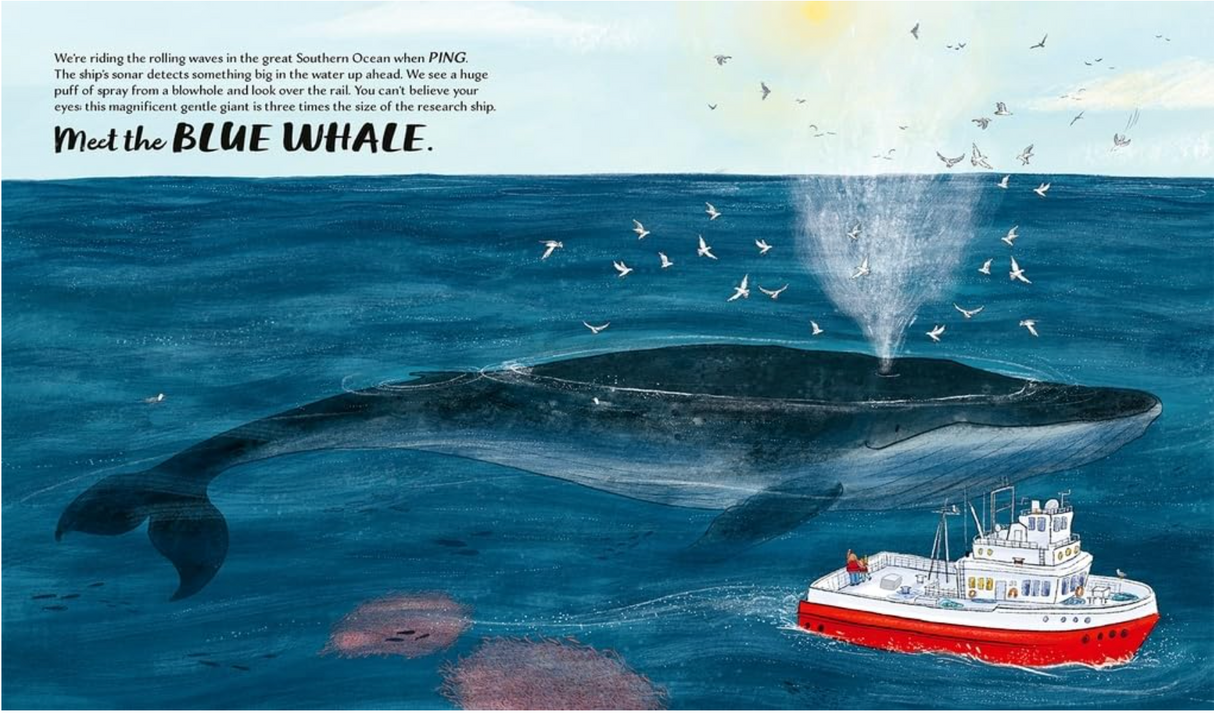 Meet the Whales