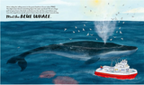 Meet the Whales