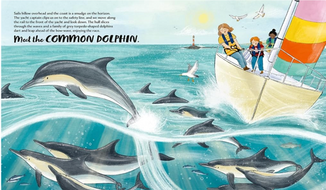 Children on a sailboat watching a pod of common dolphins swimming and jumping near the water's surface