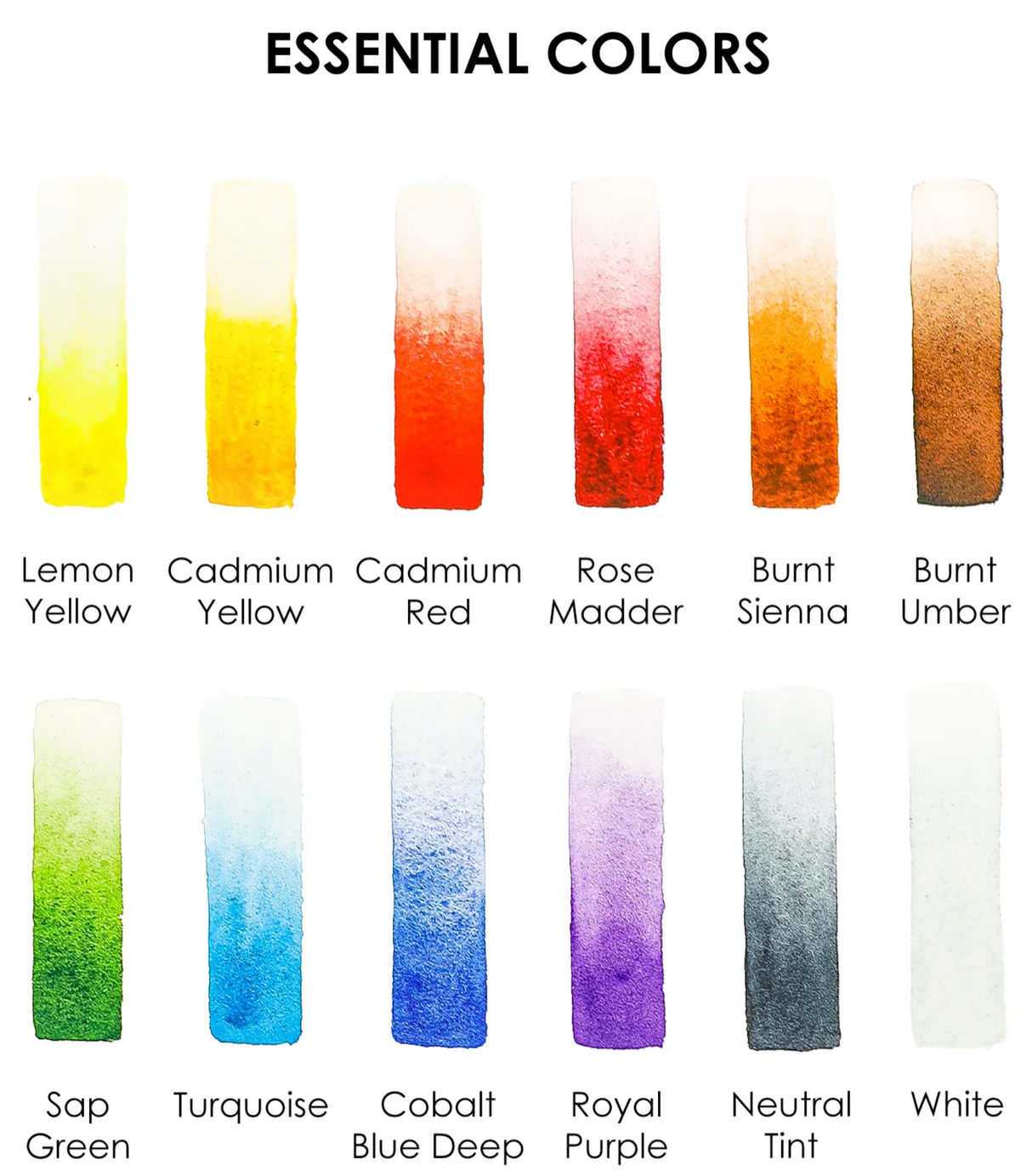 Twelve vibrant essential watercolor shades including yellows, reds, browns, greens, blues, purple, neutral, and white swatches.