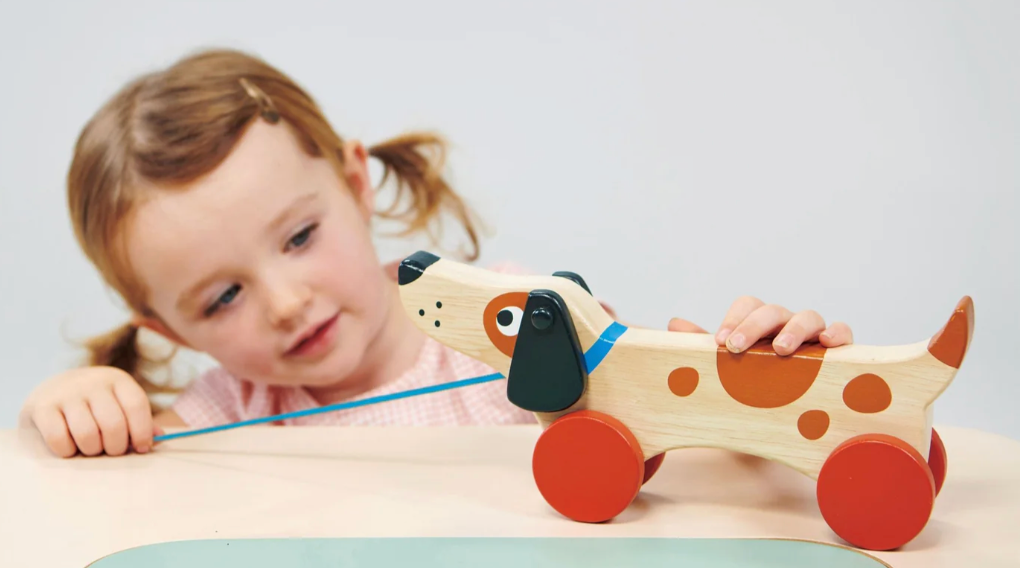 Young child playing with a wooden puppy on red wheels, pulling it along with a blue leash on a white table.