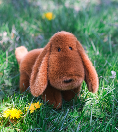 Soft plush dachshund toy with long ears and round muzzle sitting on green grass with yellow flowers around