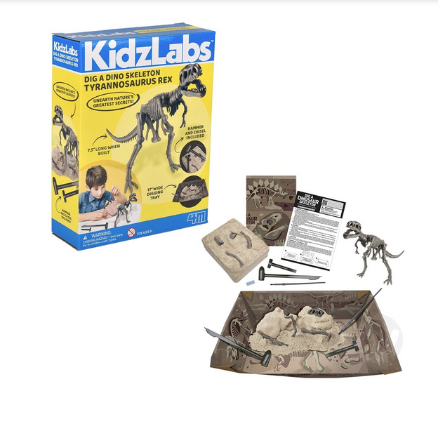 T-Rex dig kit with excavation tools, fossil blocks, digging tray, and assembled dinosaur skeleton model for kids.