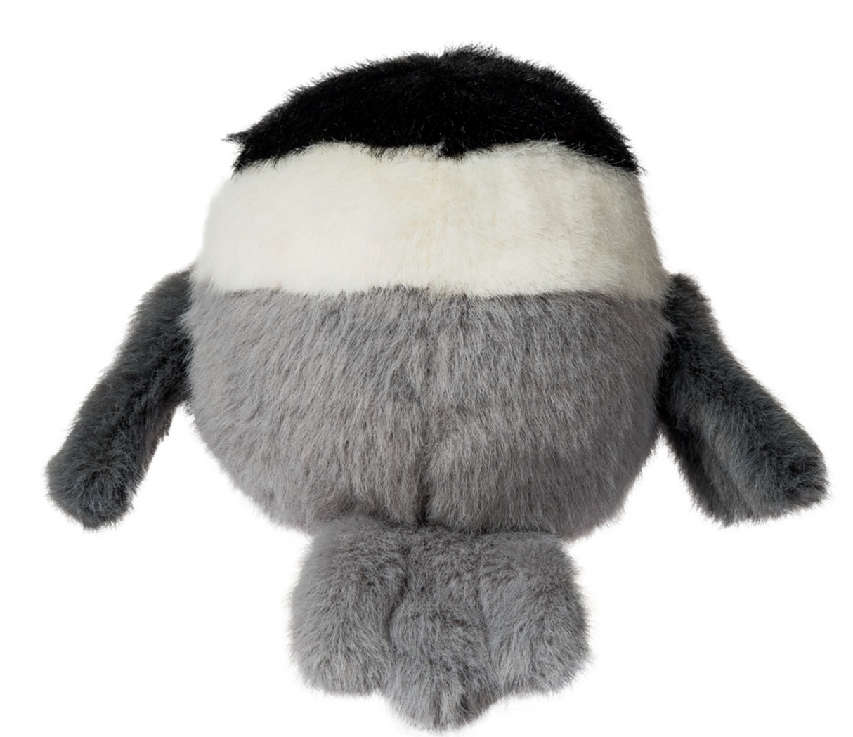 Rolly Chickadee