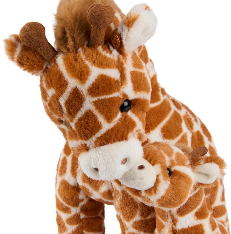 Giraffe Solana & Calf