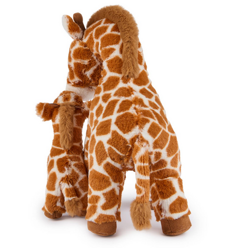 Giraffe Solana & Calf