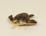 Animal Play Figure | Sea Turtle