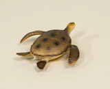 Animal Play Figure | Sea Turtle