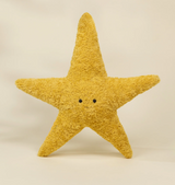 Starfish