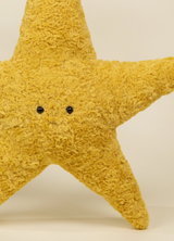 Starfish
