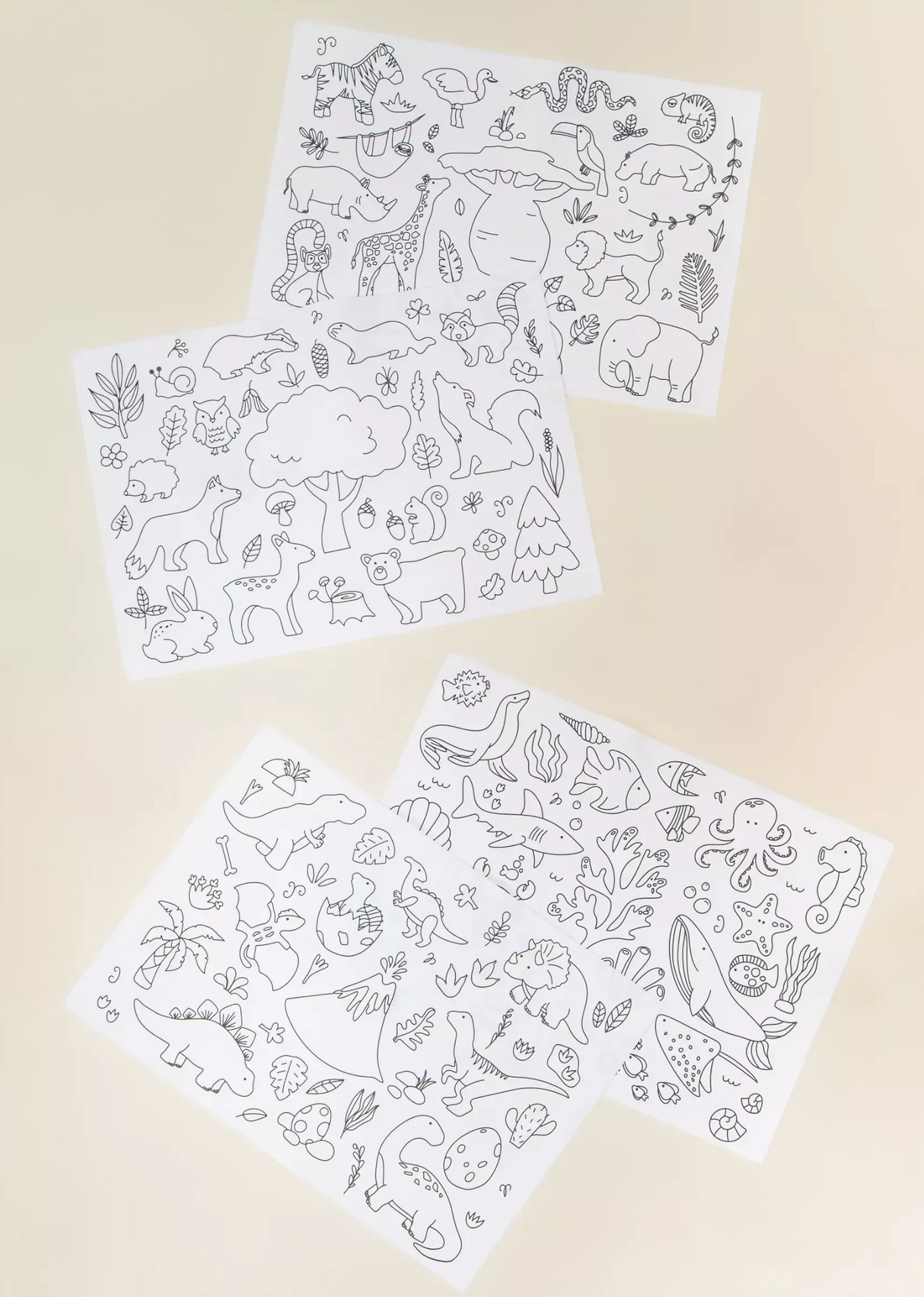 Coco Studio | Color & Wipe Placemat Set