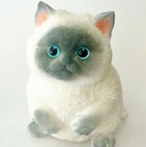 Squishy Kitty