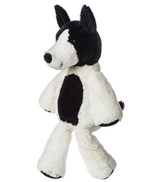 Marshmallow Terrier Trixie
